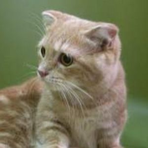 Meet your Posher, Dana